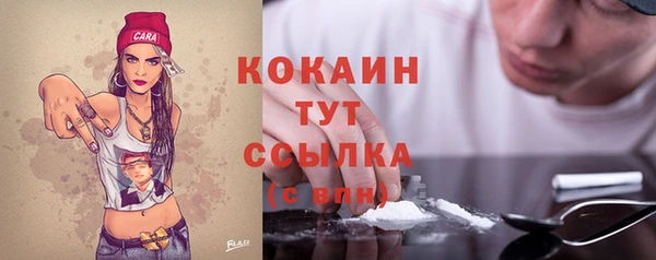 индика Абдулино