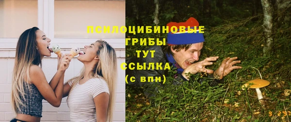 индика Абдулино