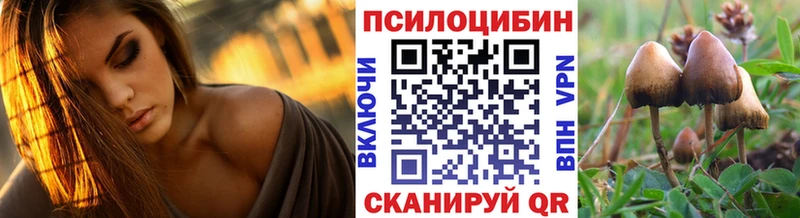 Псилоцибиновые грибы прущие грибы  Алагир 