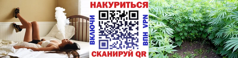Шишки марихуана план  даркнет сайт  Алагир 